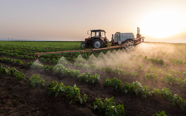 Best Insect Control  in Maize, KS