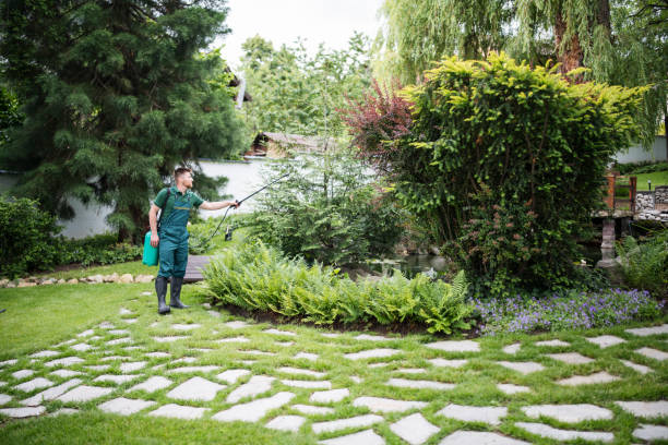 Best Local Pest Control Services  in Maize, KS