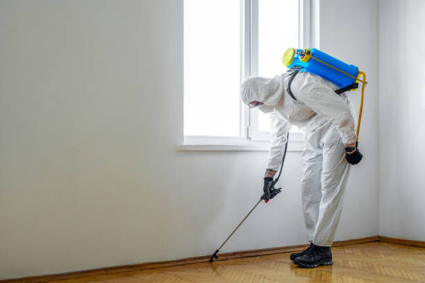 Best Flea Control Services  in Maize, KS