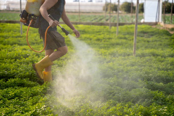 Best Pest Removal Services  in Maize, KS