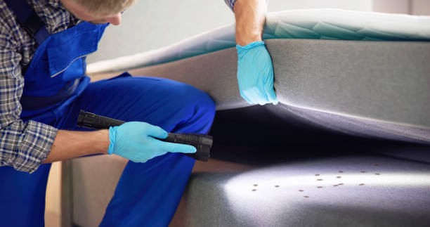 Best Cockroach Control Services  in Maize, KS