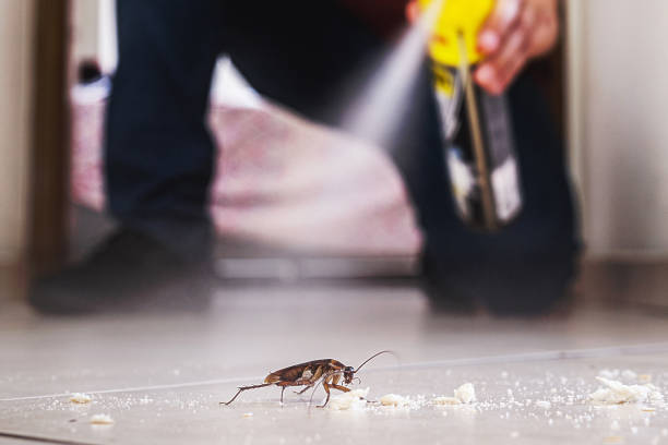 Best Pest Control Cost  in Maize, KS