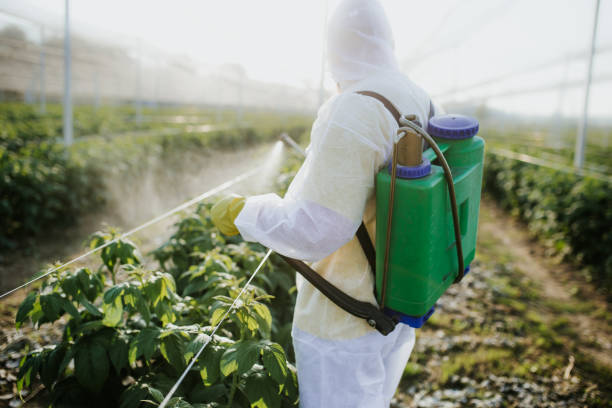 Best Affordable Pest Control Services  in Maize, KS